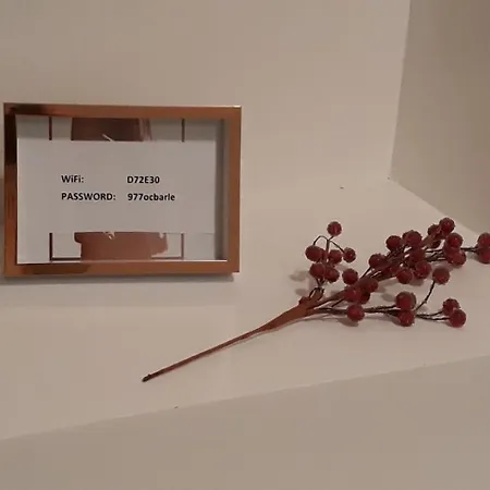 White Pearl * Belgrado