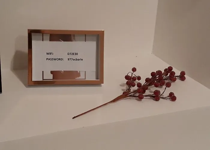 White Pearl * Belgrade